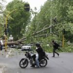 Albero caduto su carreggiata a Roma dopo forti raffiche, moto e pedoni costretti a deviare