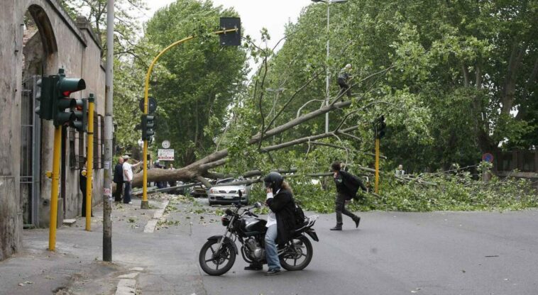 Albero caduto su carreggiata a Roma dopo forti raffiche, moto e pedoni costretti a deviare