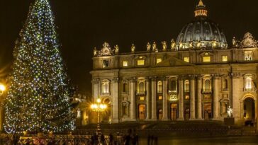 Piazza San Pietro illuminata per Natale, con l’albero decorato e la basilica sullo sfondo di notte.
