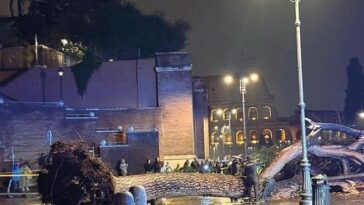 Albero caduto ai Fori Imperiali vicino al Colosseo, con vigili del fuoco e passanti che osservano l’area transennata durante una notte di pioggia.