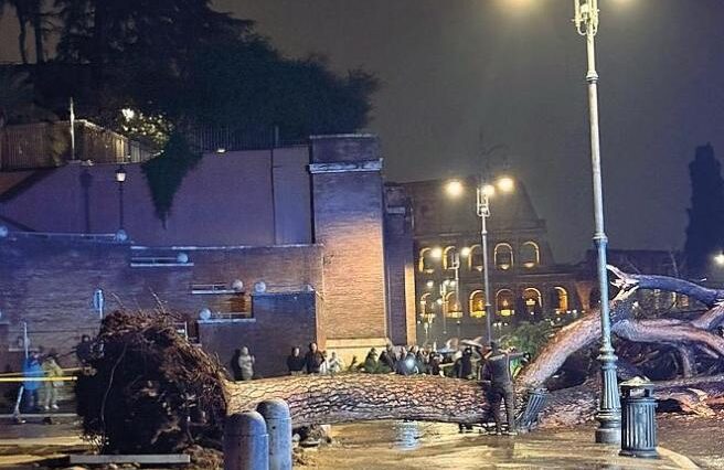 Albero caduto ai Fori Imperiali vicino al Colosseo, con vigili del fuoco e passanti che osservano l’area transennata durante una notte di pioggia.