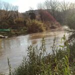 Fiume Aniene ingrossato dopo le piogge, vegetazione allagata e argini pieni nella zona est di Roma
