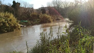 Fiume Aniene ingrossato dopo le piogge, vegetazione allagata e argini pieni nella zona est di Roma