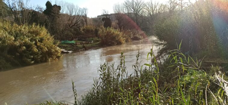 Fiume Aniene ingrossato dopo le piogge, vegetazione allagata e argini pieni nella zona est di Roma