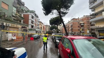 Agente della polizia locale davanti a un albero pericolante