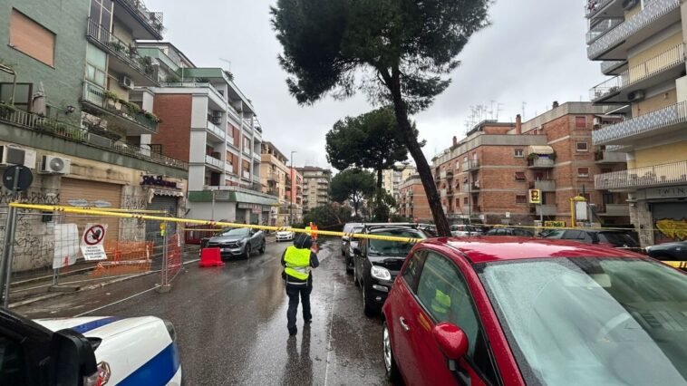 Agente della polizia locale davanti a un albero pericolante