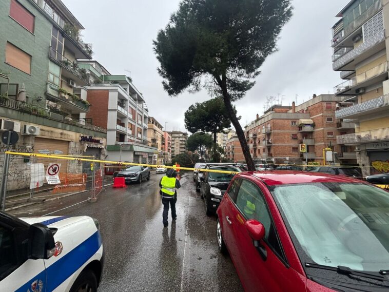 Agente della polizia locale davanti a un albero pericolante