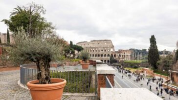 Vista dal belvedere Antonio Cederna con piante in vaso in primo piano e il Colosseo sullo sfondo, mentre pedoni percorrono via dei Fori Imperiali.