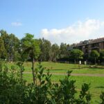 Vista del Parco Palatucci a Tor Tre Teste con prato verde, alberi e palazzi residenziali sullo sfondo.