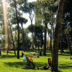 Persone rilassate in un grande parco di Roma durante una giornata di sole e caldo, tra alberi, prati verdi e raggi di luce estivi.
