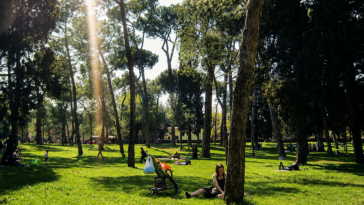 Persone rilassate in un grande parco di Roma durante una giornata di sole e caldo, tra alberi, prati verdi e raggi di luce estivi.