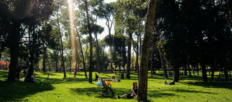 Persone rilassate in un grande parco di Roma durante una giornata di sole e caldo, tra alberi, prati verdi e raggi di luce estivi.