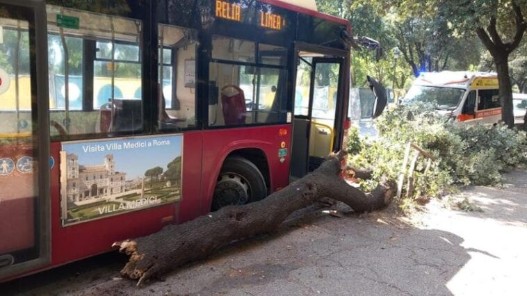 Autobus Atac della linea 495 fermo contro un albero caduto dopo l'incidente ai Parioli. Sul posto è presente anche un'ambulanza intervenuta per soccorrere l'autista.