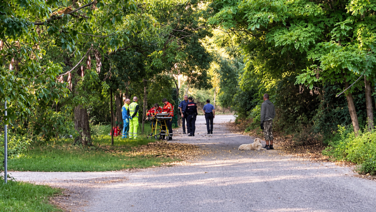 Soccorritori e forze dell’ordine intervengono in un parco di Roma dopo il ritrovamento di una persona senza vita.